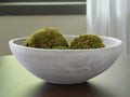 Meadie Bowl (Two-Tone)