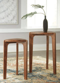 Brynnleigh Accent Table (Set of 2)