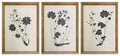 Huddwick Wall Art (Set of 3)
