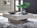 Jorlaina Coffee Table 2