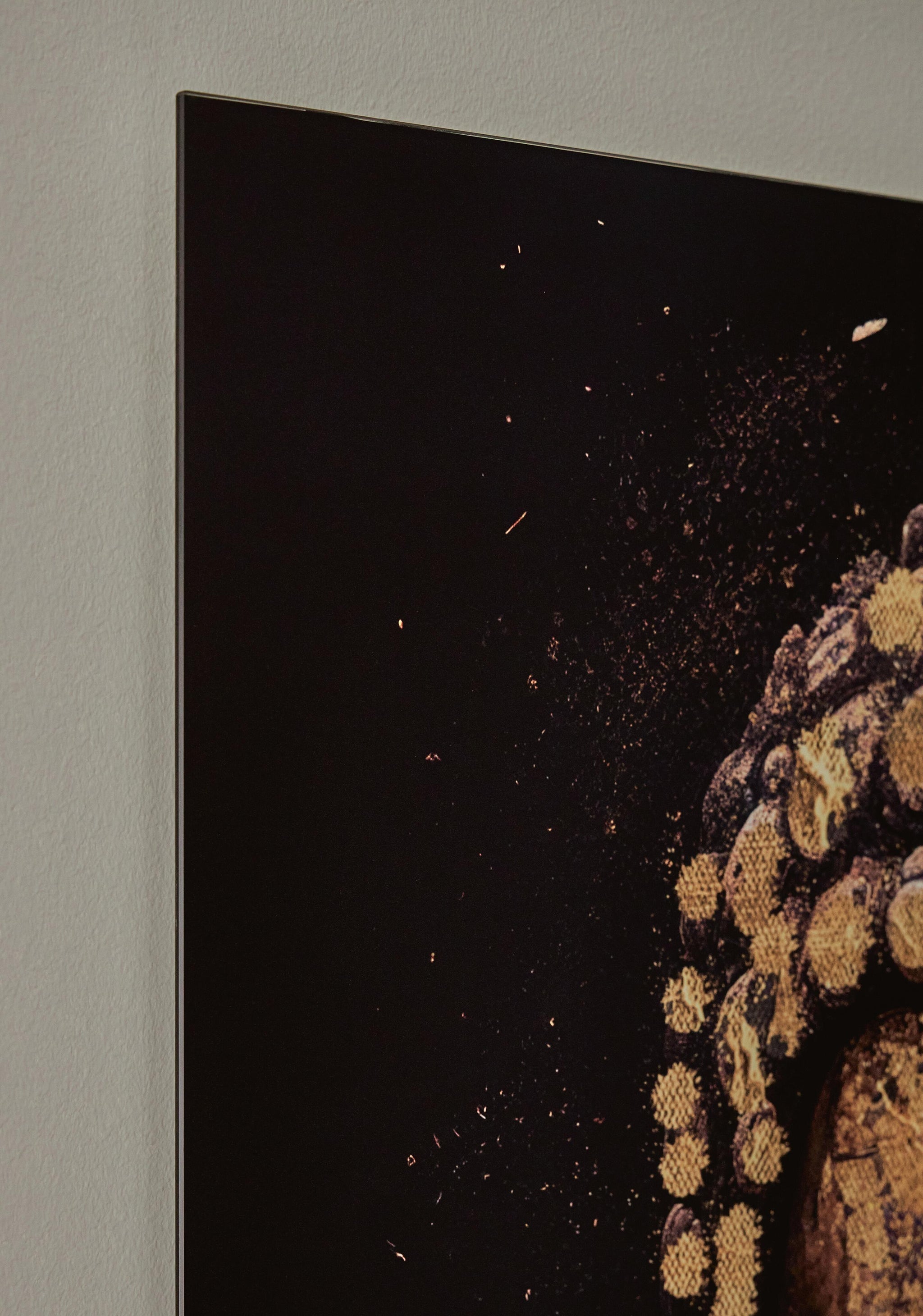 Caymoore Wall Art